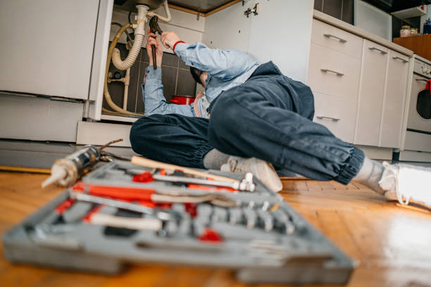 Best Same-Day Plumbing Service  in Lake Magdalene, FL