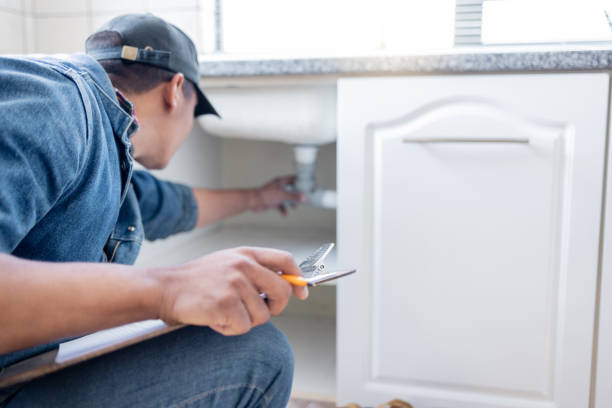 Best Water Softener Installation  in Lake Magdalene, FL