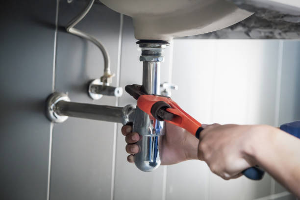 Best Residential Plumbing Services  in Lake Magdalene, FL