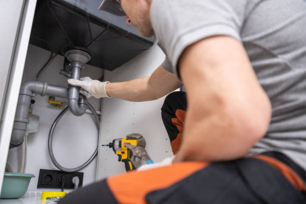 Best Local Plumber Services  in Lake Magdalene, FL